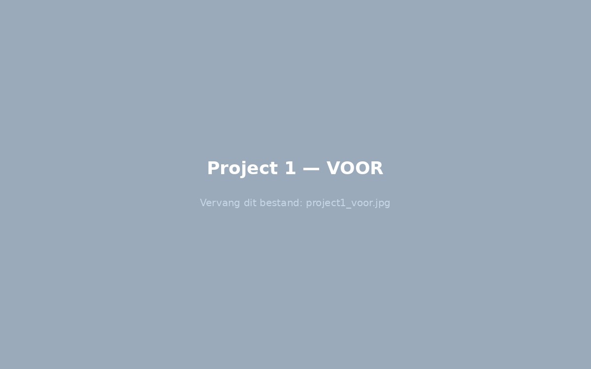 Project 1 voor