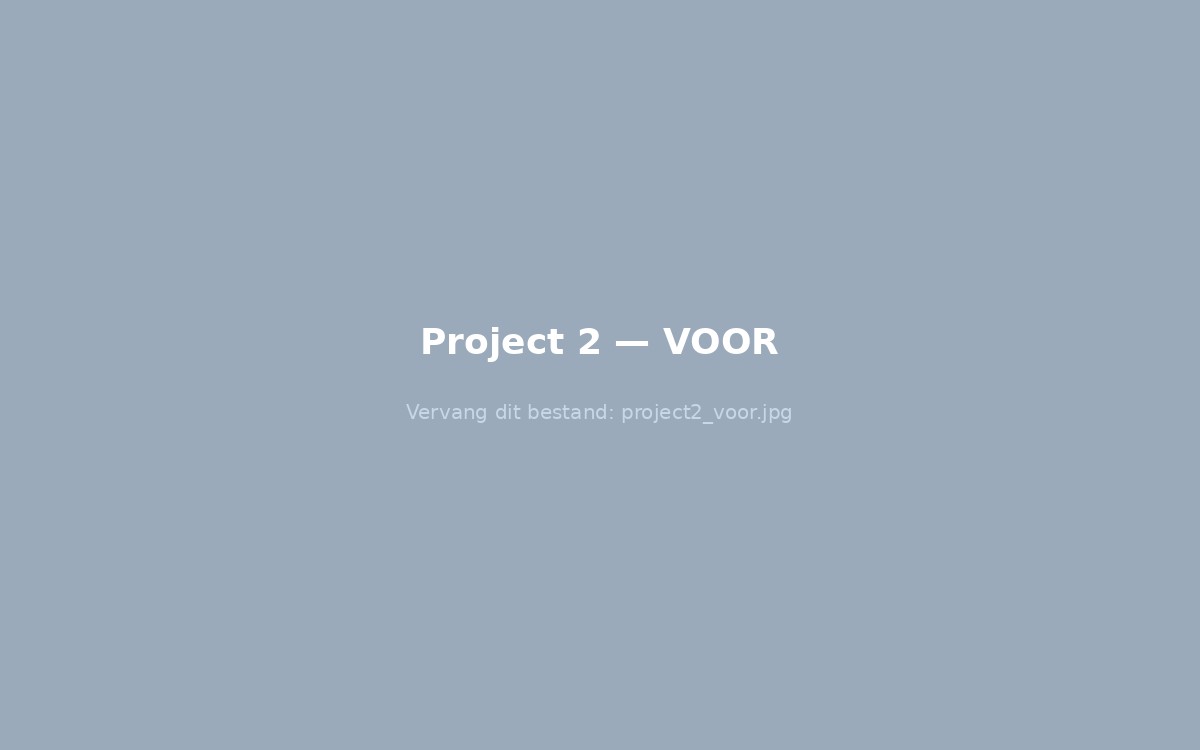 Project 2 voor