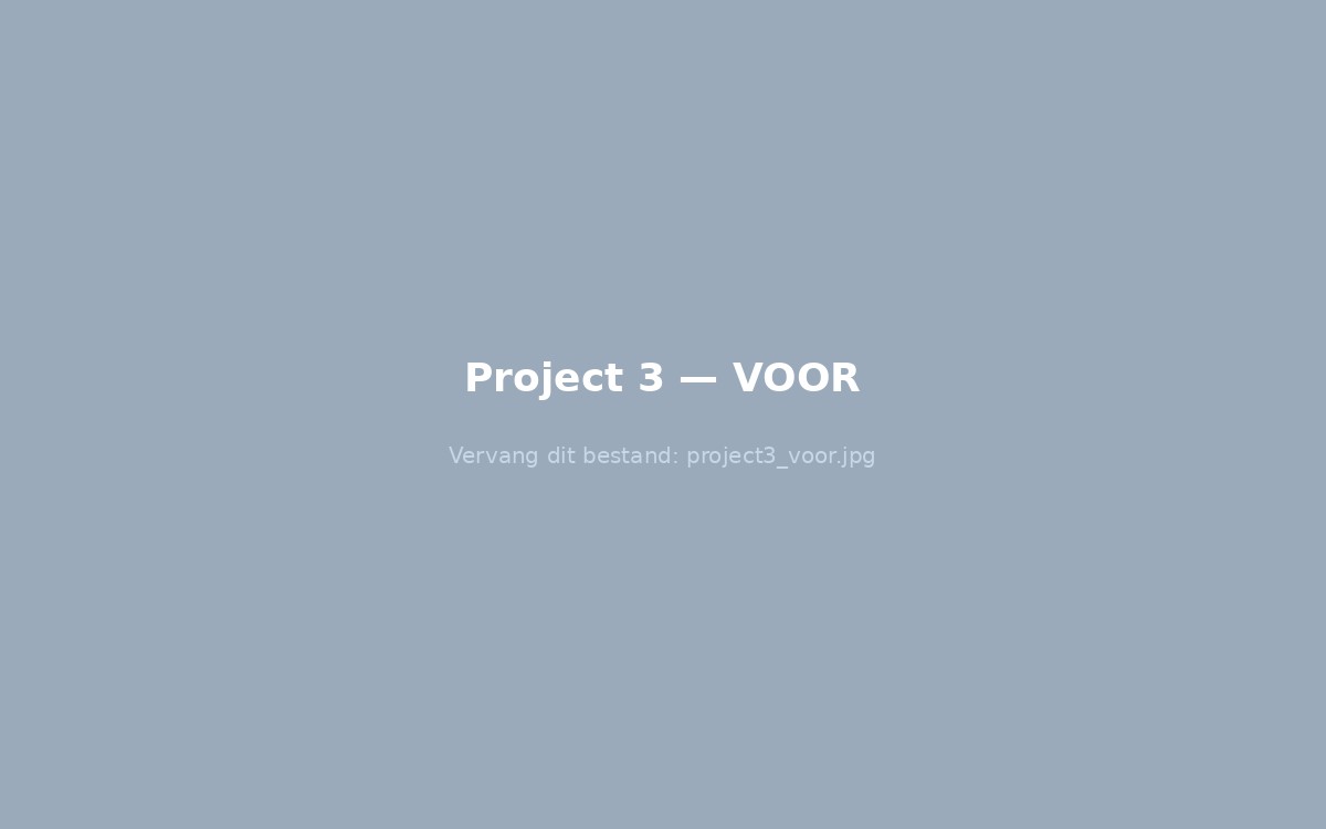 Project 3 voor